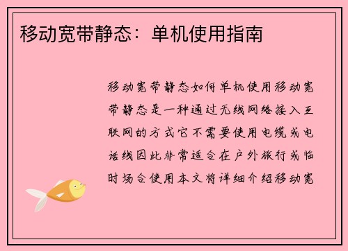 移动宽带静态：单机使用指南